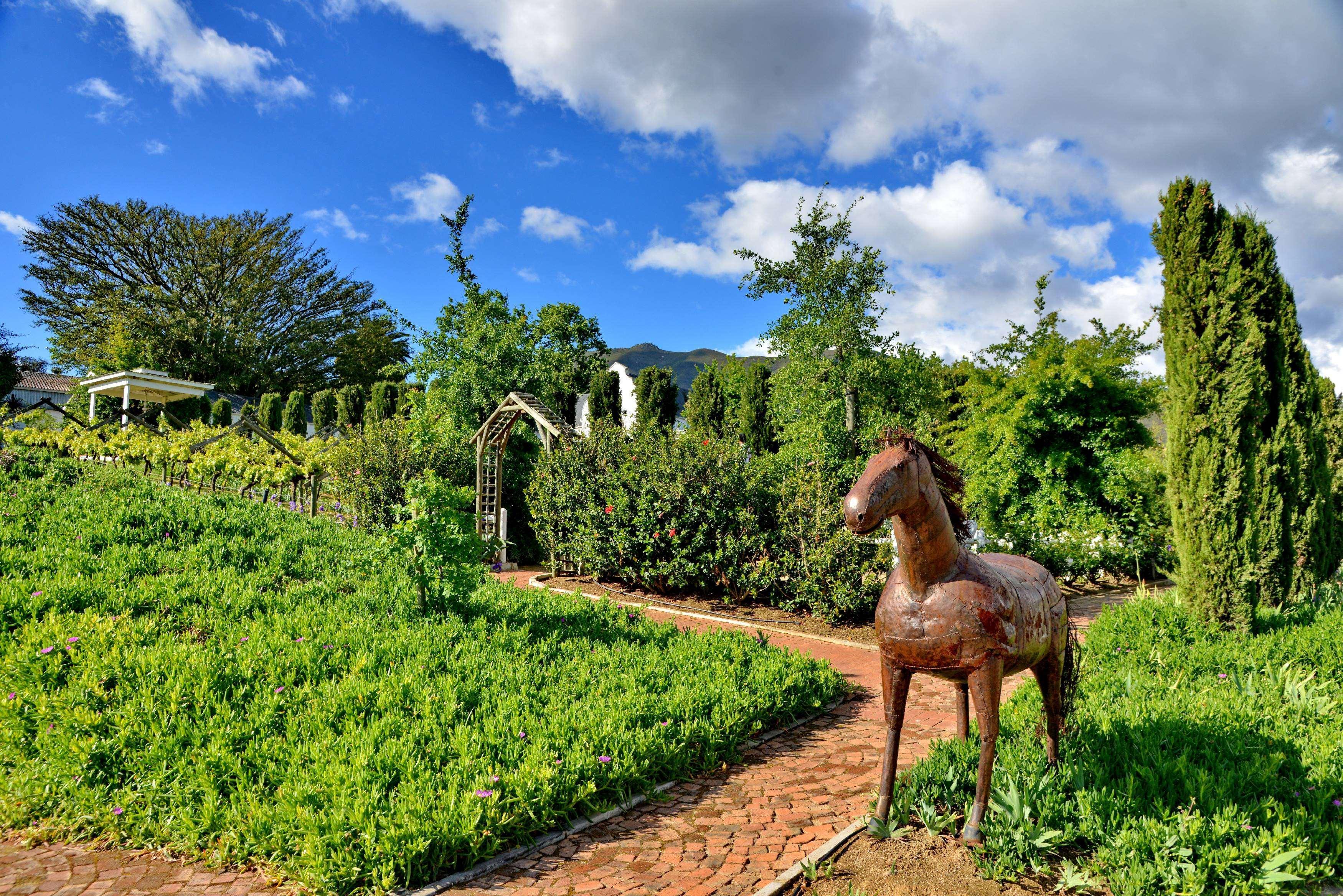 Hotel Val Du Charron Wine & Leisure Estate Wellington Zewnętrze zdjęcie